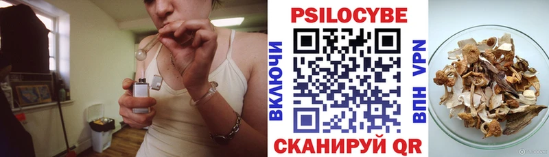 Псилоцибиновые грибы прущие грибы  Нерюнгри 
